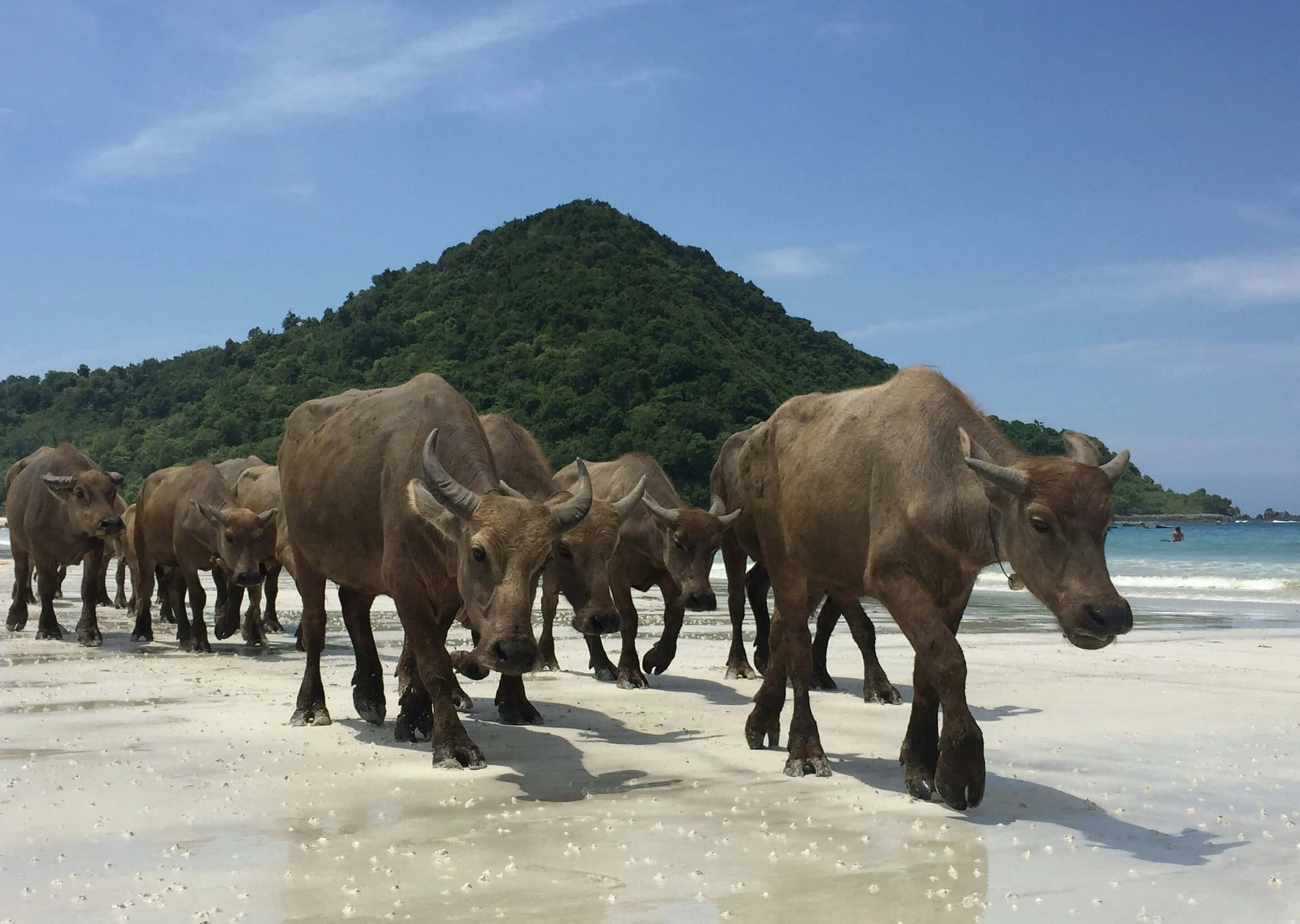 Kapal Oasis, Lombok