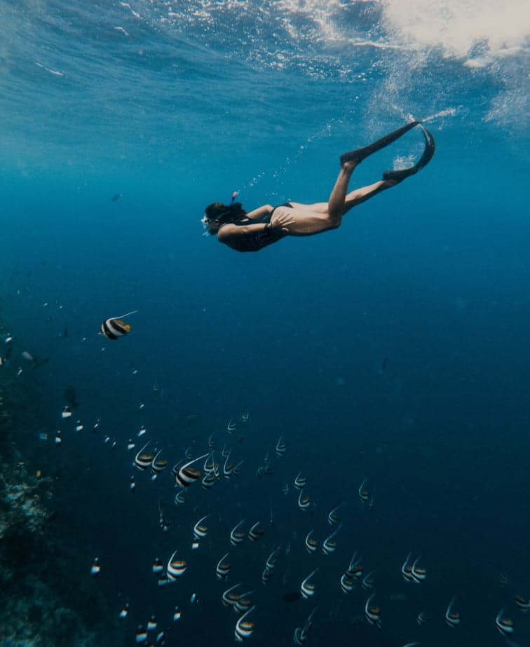 Snorkelling and dive sites offshore