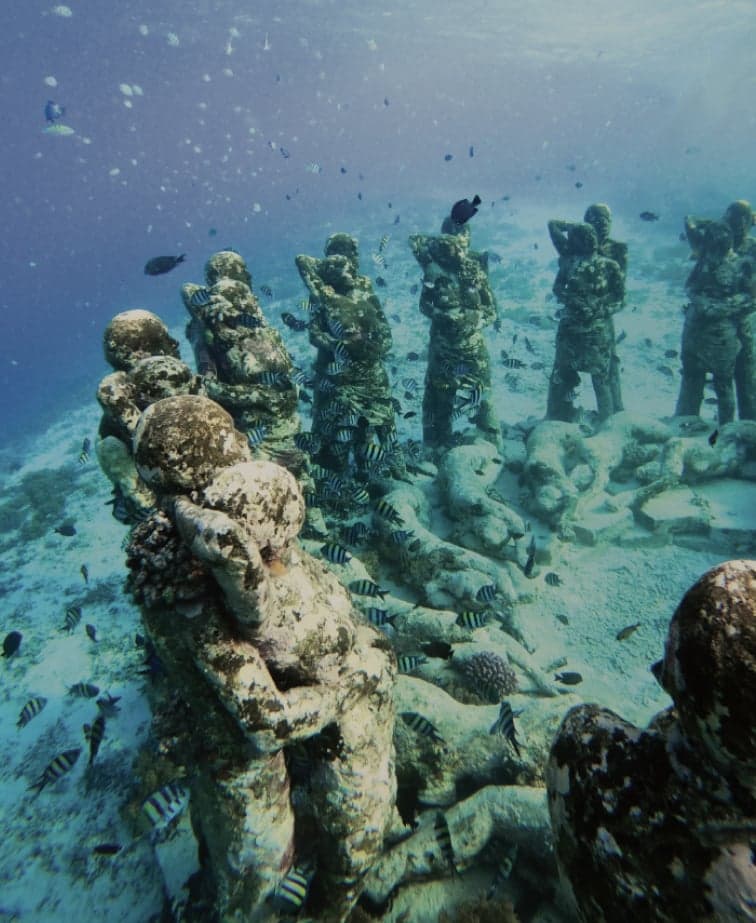 Tropical reefs and clear water