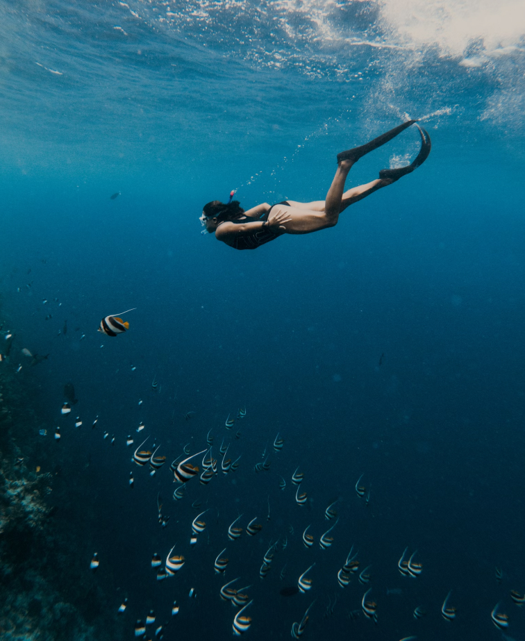 Snorkelling and dive sites offshore